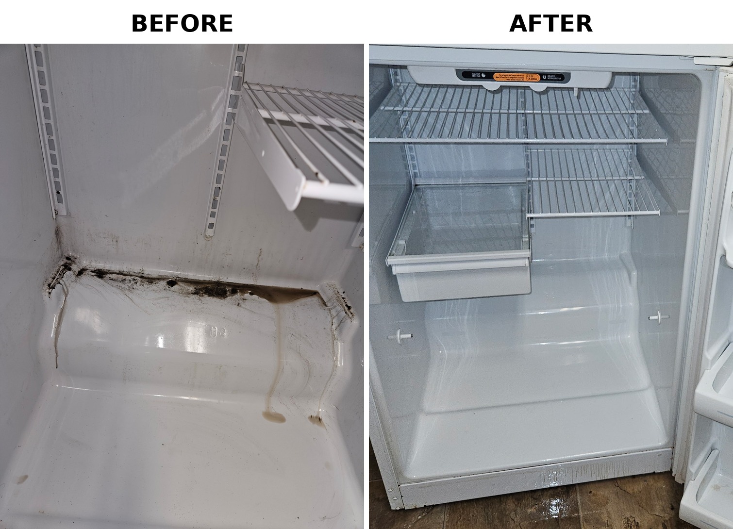 fridge_before_after South Bend Deep Cleaning Fridge